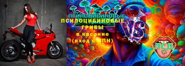 бошки Аркадак