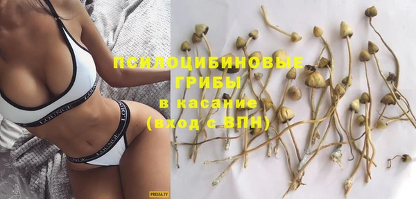 бошки Аркадак